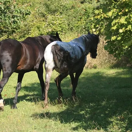 Tatil Evi Maison Accueillante Avec Piscine A